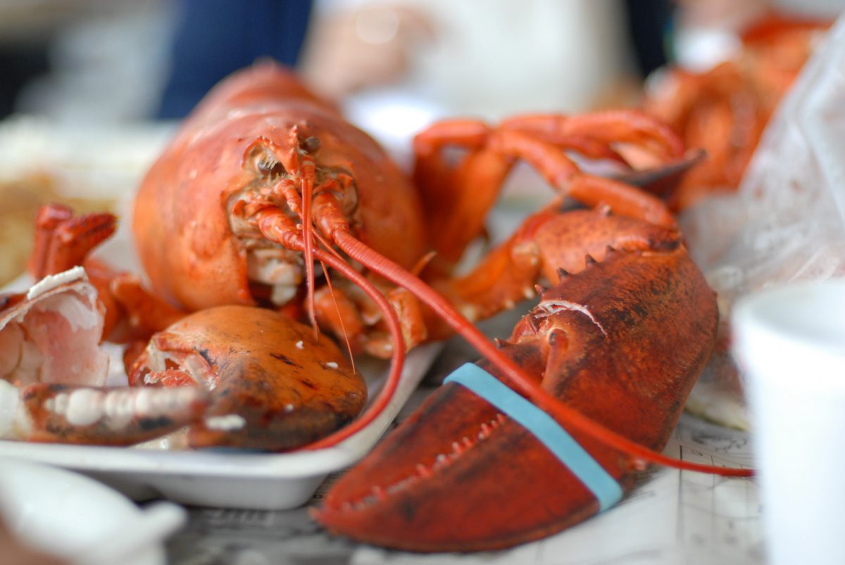 2017 Quality Seafood Lobster Fest All September in Redondo Beach