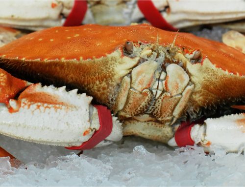 2nd Annual Dungeness Crab Season Family Gathering